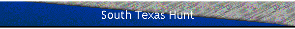 South Texas Hunt